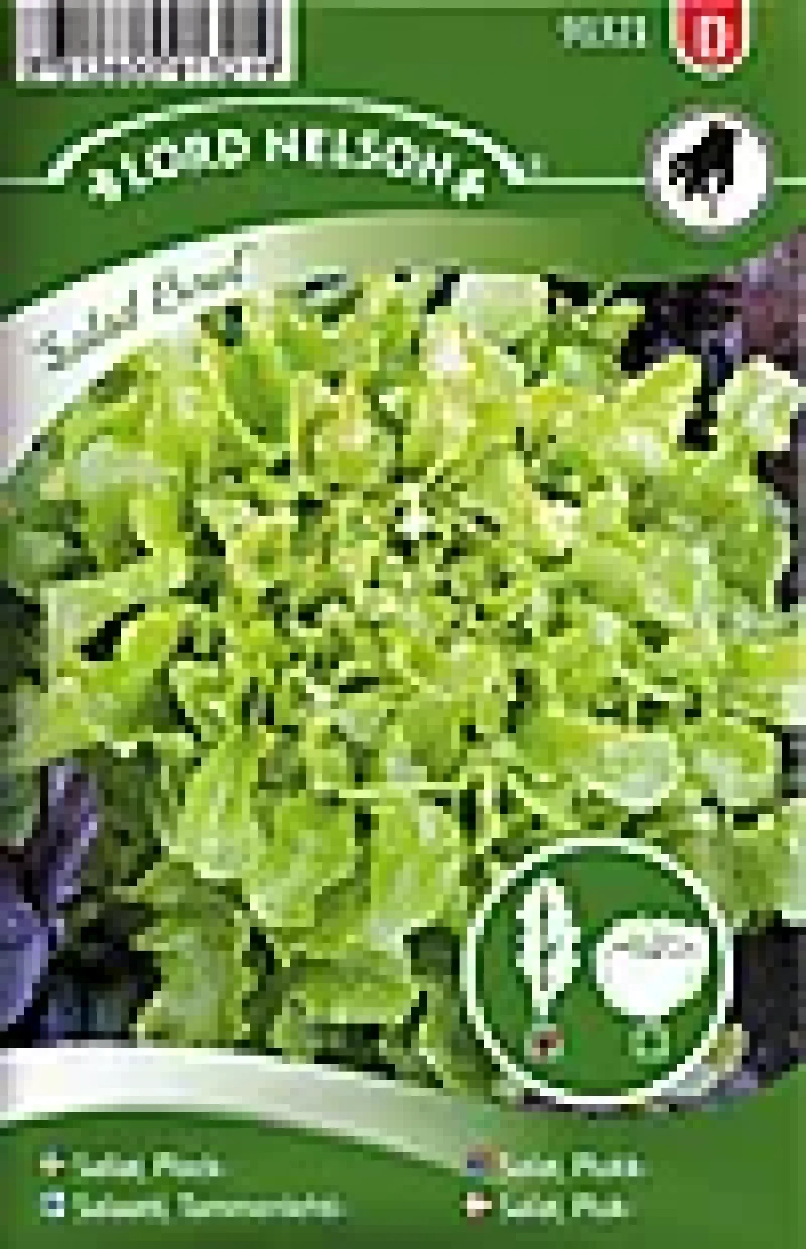 Porsjonsfrø salat plukk saladb-Nelson garden Sale