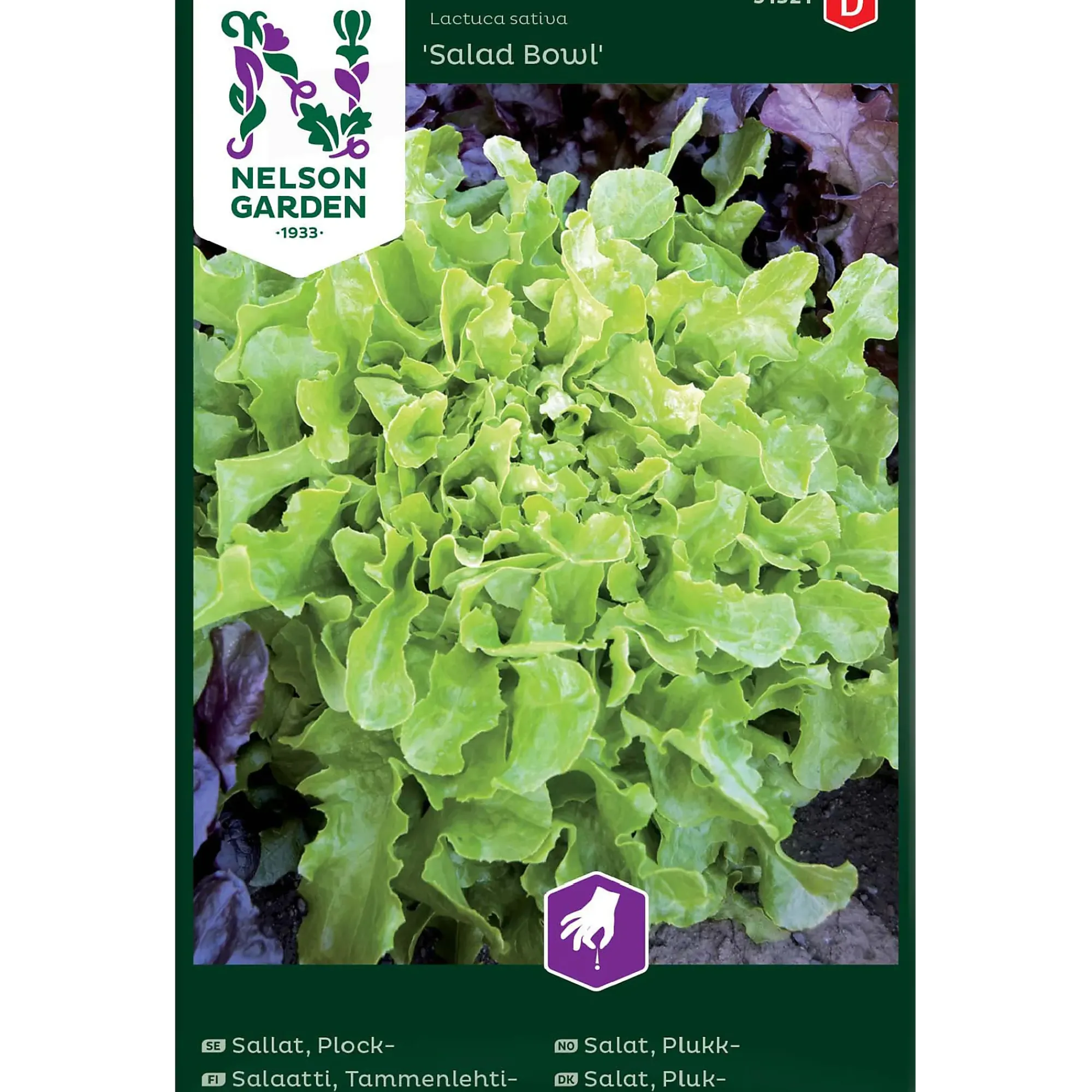 Porsjonsfrø salat plukk saladb-Nelson garden Sale