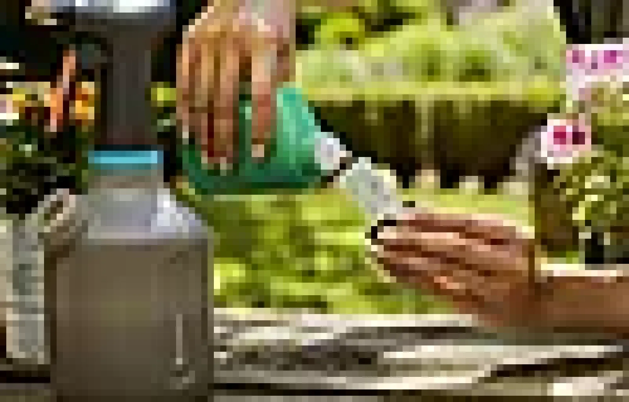 PUMPESPRØYTE 1 L-Gardena Online