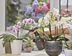 PUMPESPRØYTE 1 L-Gardena Online