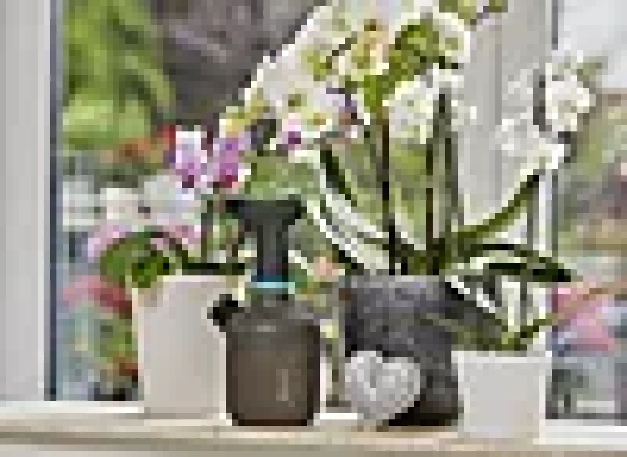 PUMPESPRØYTE 1 L-Gardena Online