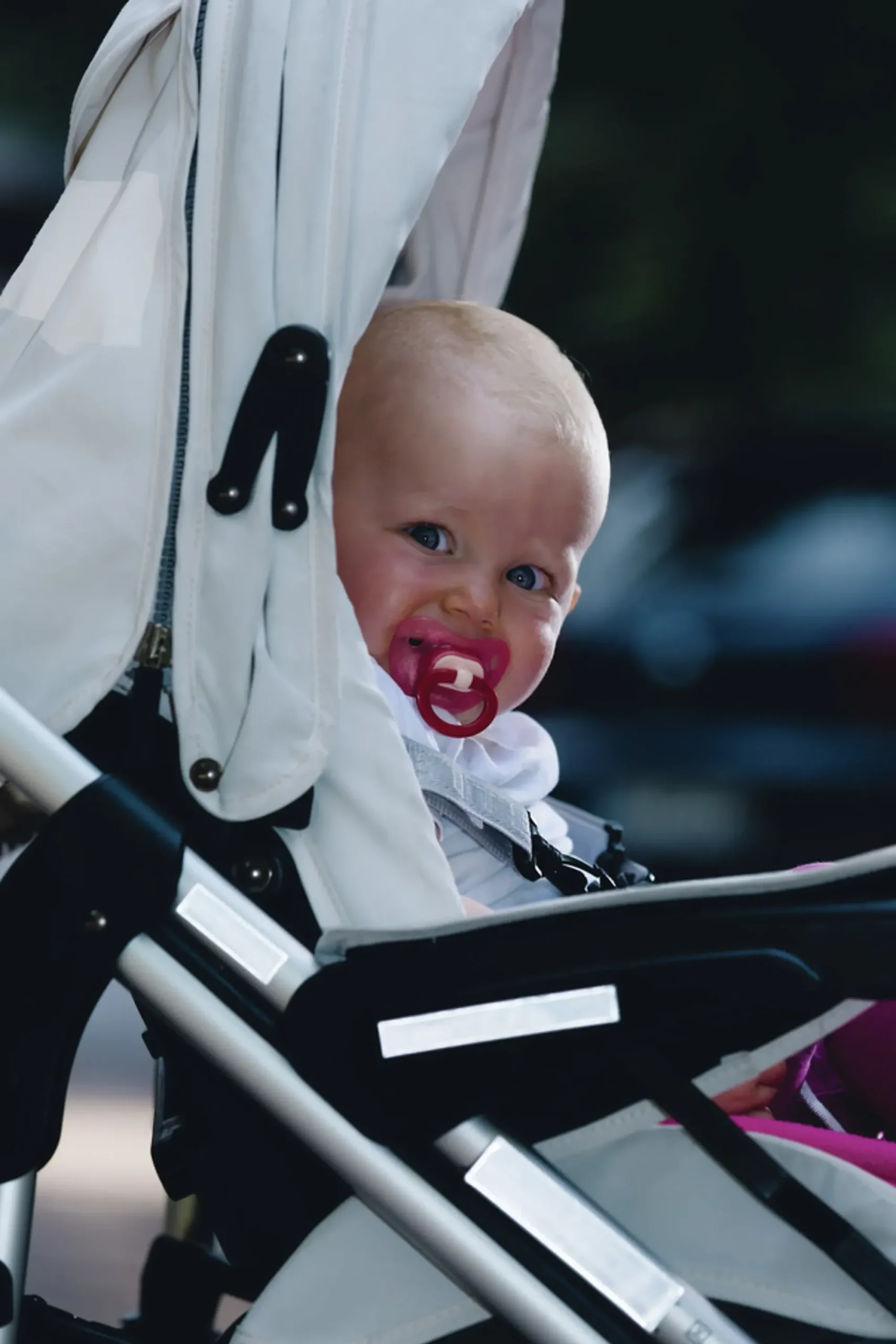 Refleks klistremerker Lara-Abus Outlet