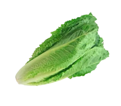 Romanosalat-Auk Best