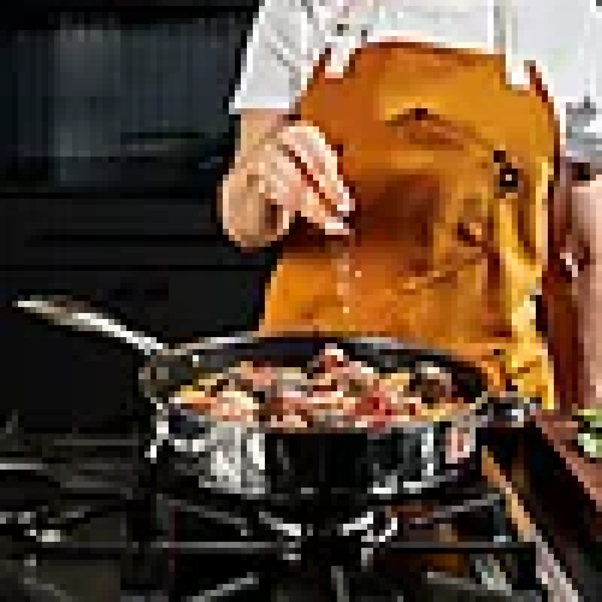 Sautépanne 26cm 3l-Hexclad Discount