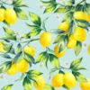 Servietter 33x33cm Citrus Branches-Daybyday Sale