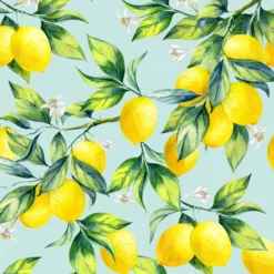 Servietter 33x33cm Citrus Branches-Daybyday Sale