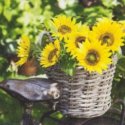 Servietter 33x33cm Sunny Flower- Clearance