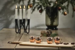 Shotglass 4stk-Lyngby glas Best