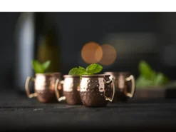 Shotglass 4stk-Lyngby glas Best