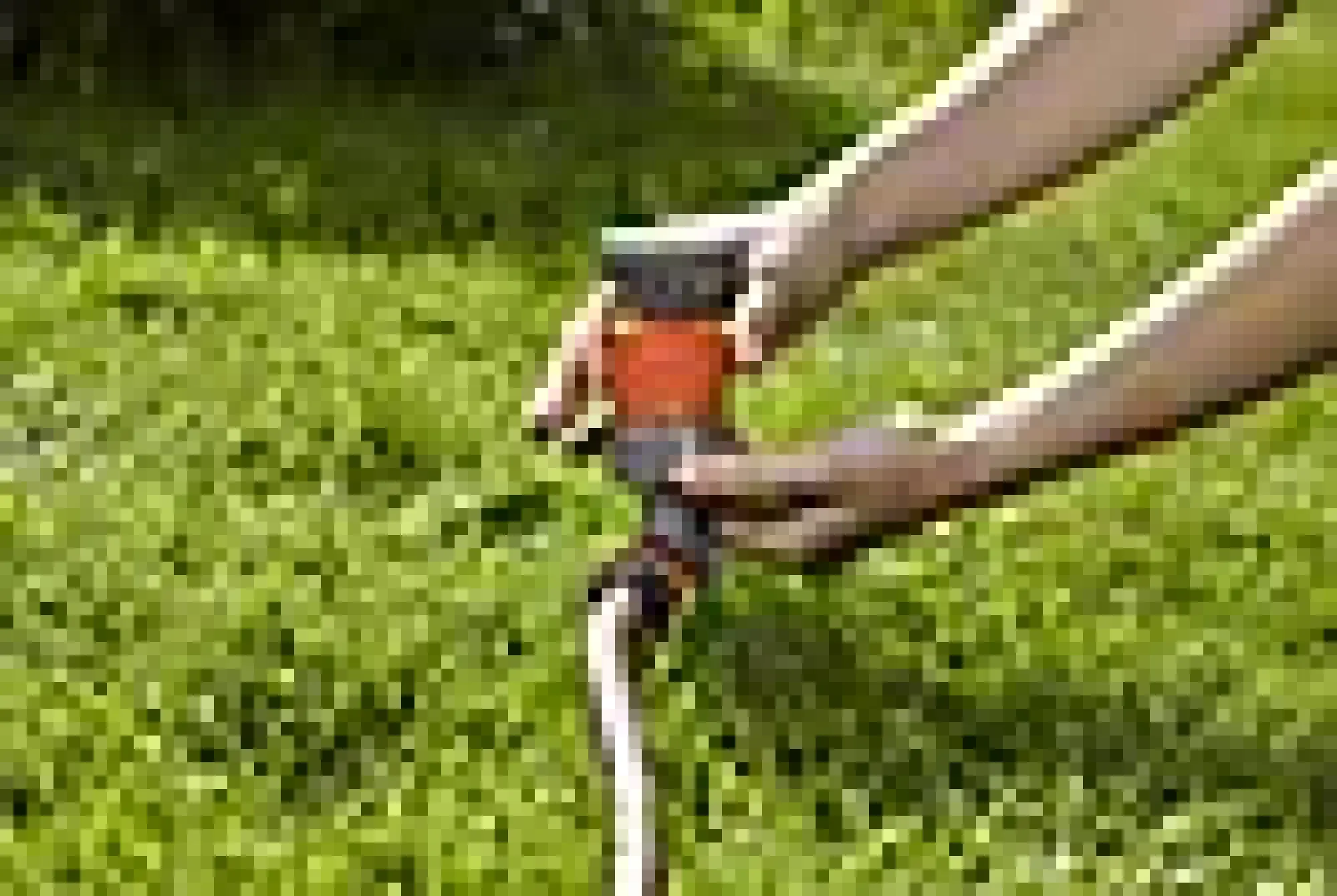 Spreder sirkel med pigg -vanningsflate 225m2-Gardena Clearance