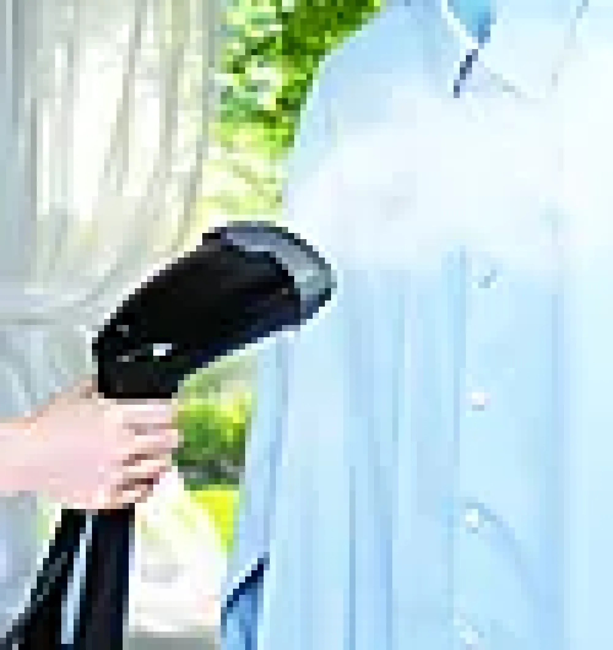 Steamer ST1B-100 Dapper-Wilfa Sale