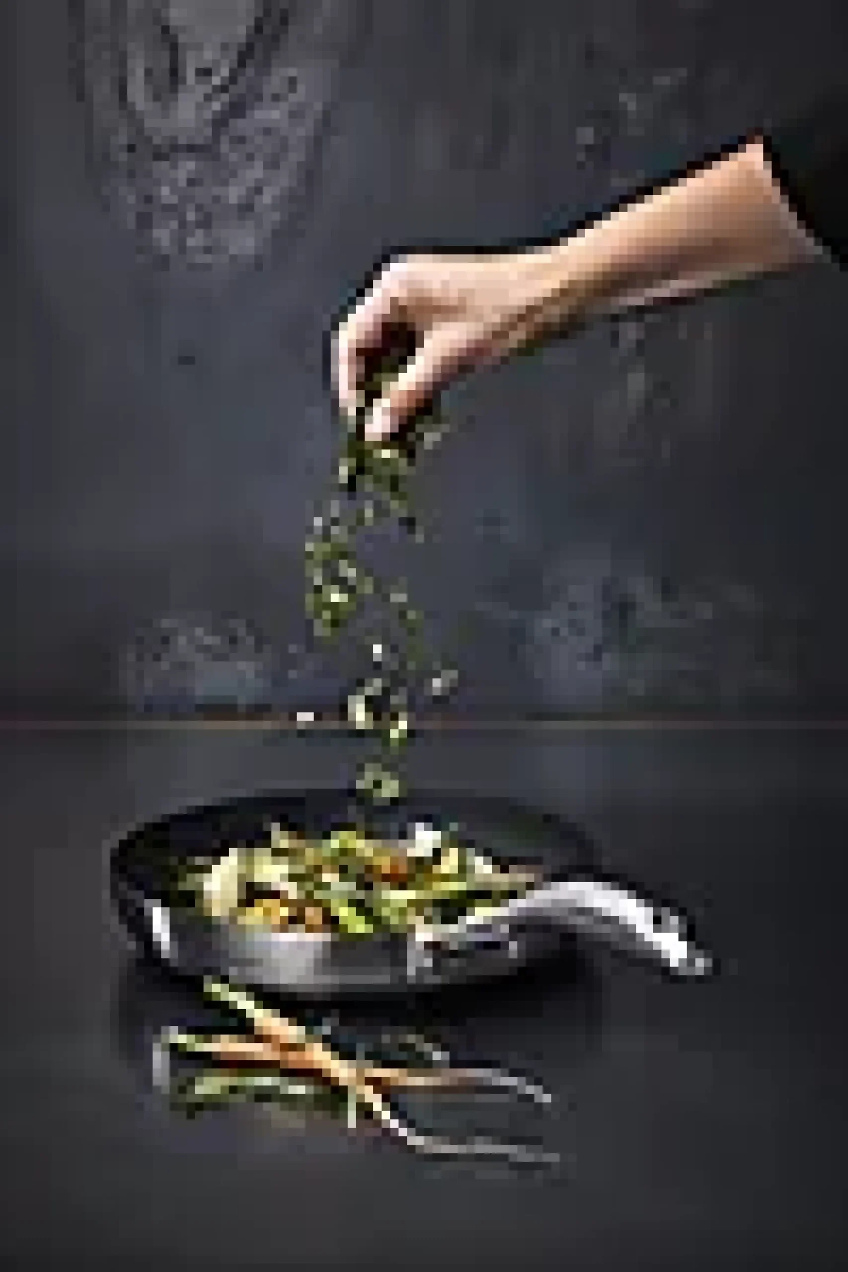 Stekepanne CS+ 24cm-Scanpan Discount