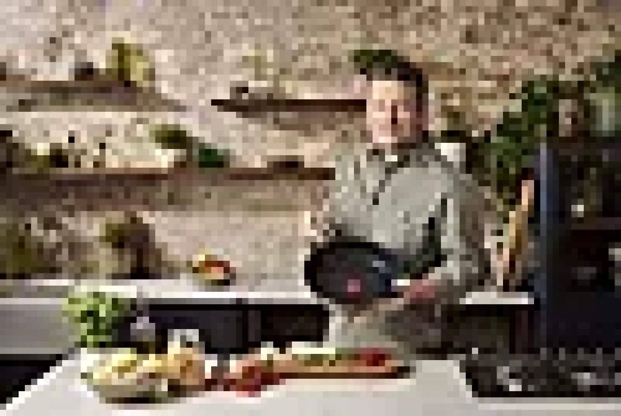Stekepannesett 24+28cm og 1 pannebeskytter Cook's Classic-Jamie oliver tefal Online