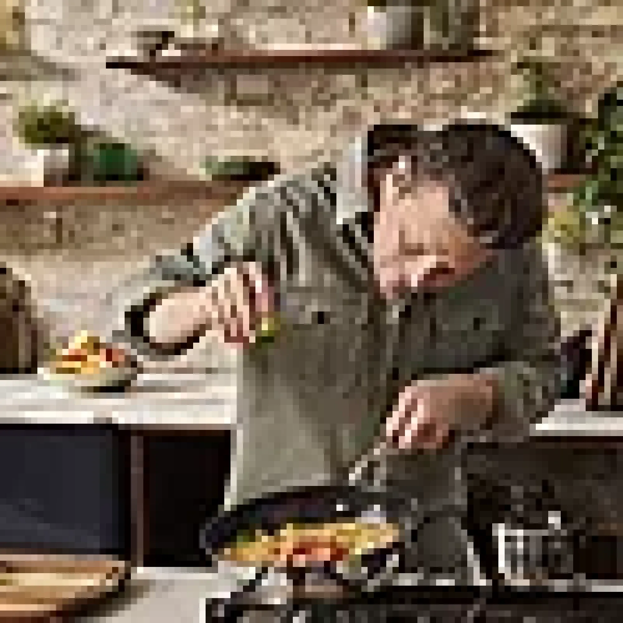 Stekepannesett 24+28cm og 1 pannebeskytter Cook's Classic-Jamie oliver tefal Online