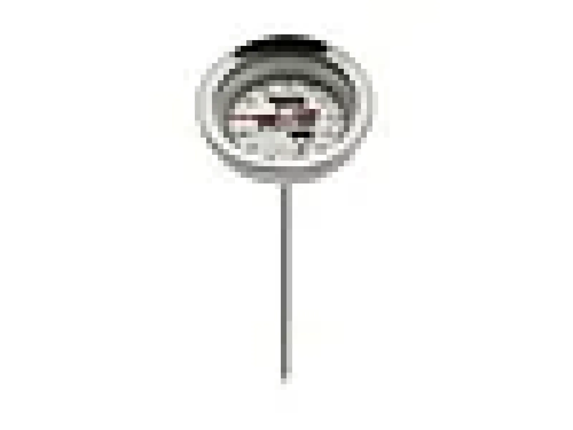 Steketermometer Metall Rustfritt-Invite Outlet