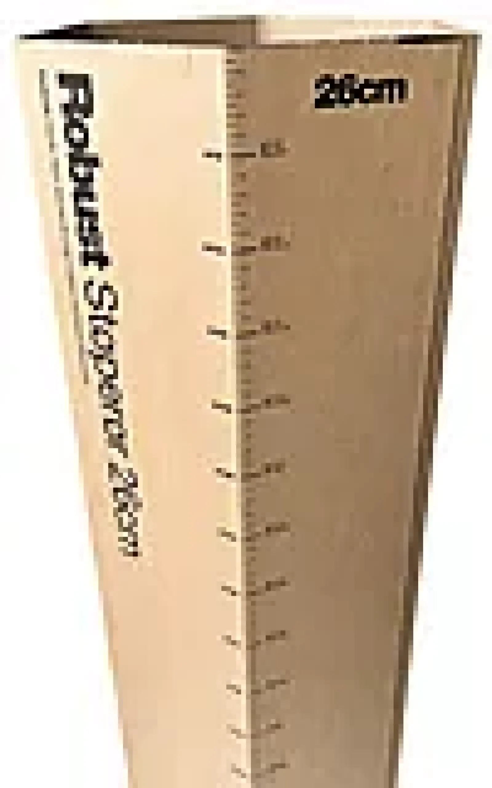 Støperør 26x77cm-Robust Outlet