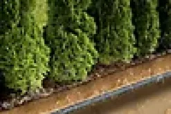 Svetteslange 15m-Gardena Sale