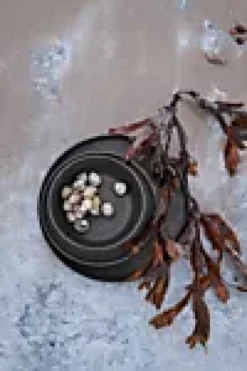 TALLERKEN Ø19,5CM GRÅ 2 STK TAKE-Rosendahl Clearance