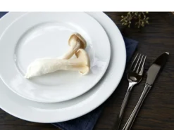 Tallerken flat med fane Eventail 22cm-Pillivuyt Outlet