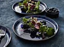Tallerken Gastro mørkblå/sort ø27cm-Bitz Outlet