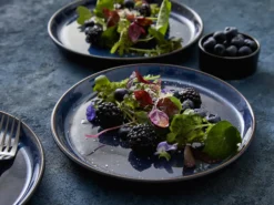 Tallerken Gastro mørkblå/sort ø27cm-Bitz Outlet