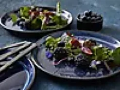 Tallerken Gastro mørkblå/sort ø27cm-Bitz Outlet