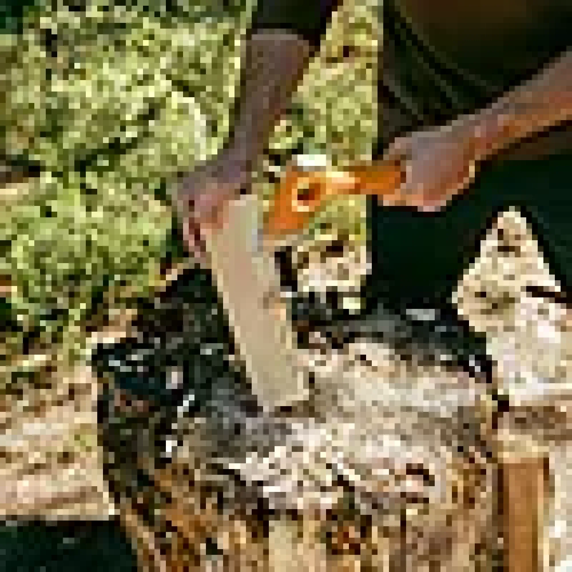Turøks X-series X13-Fiskars Discount