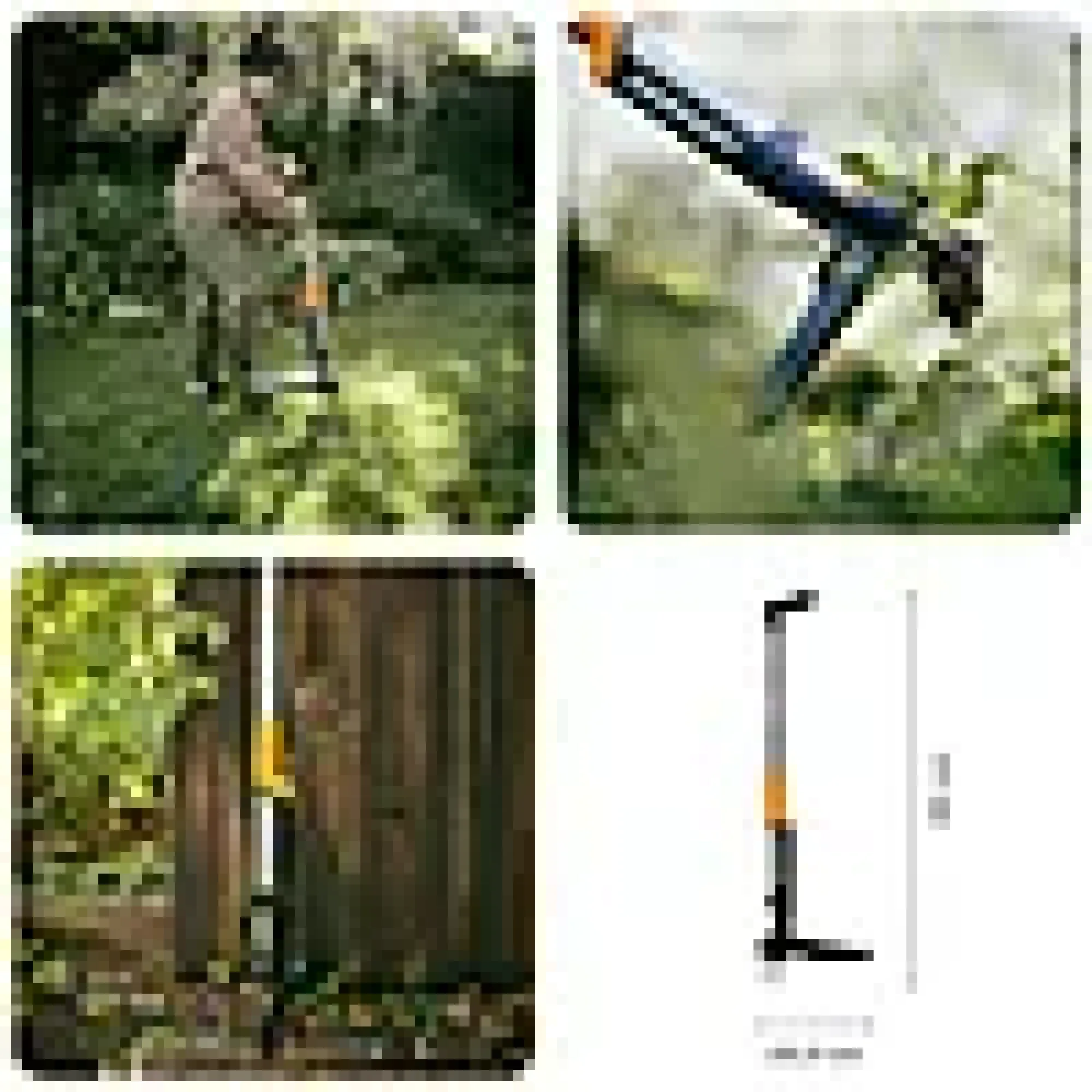 Ugressfjerner Ergonomic-Fiskars Clearance