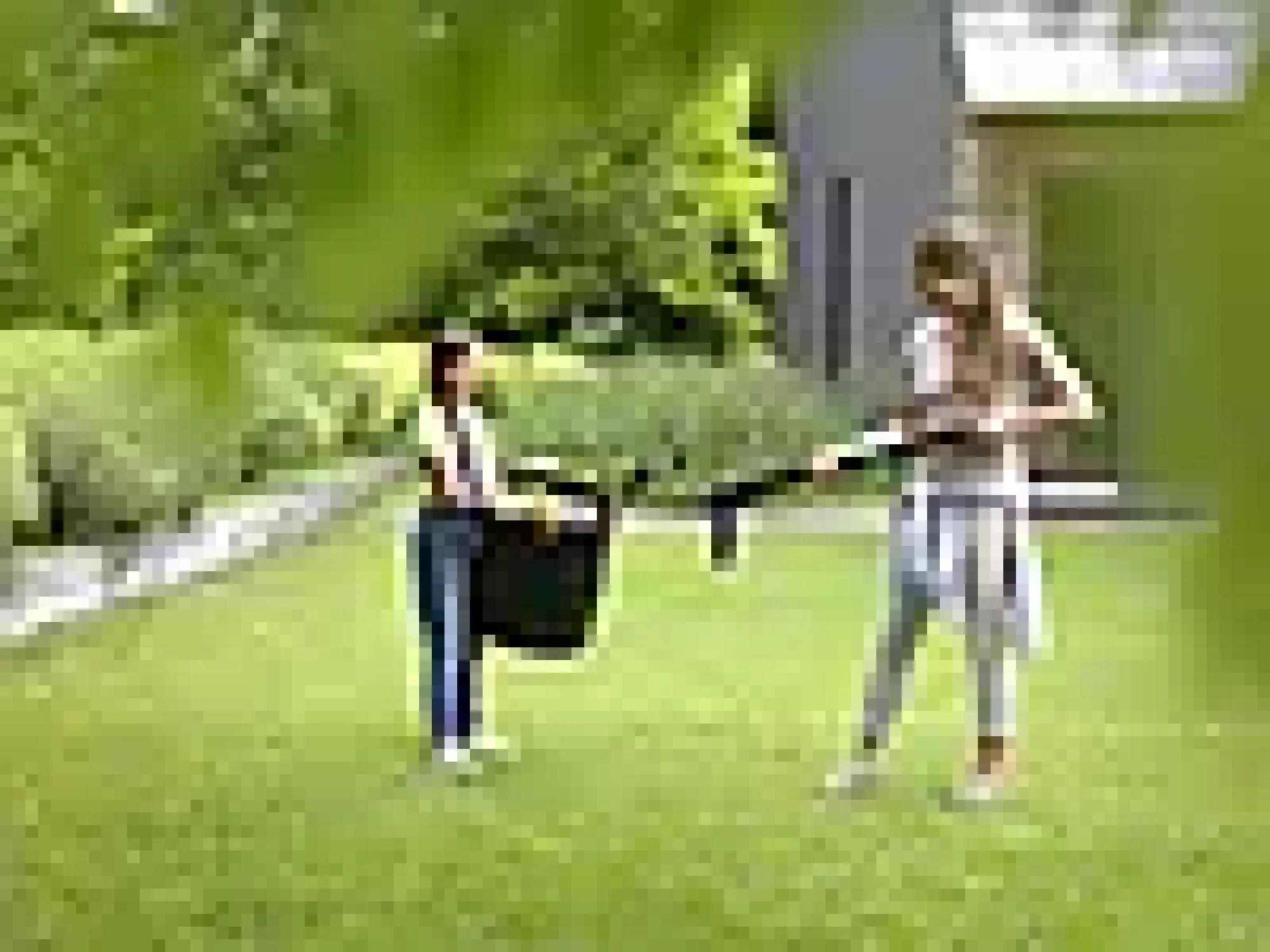 Ugressfjerner Xact Weeder-Fiskars