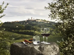 Vannglass Palace 40cl 6stk-Luigi bormioli Hot