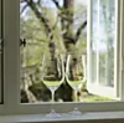 Vinglass Vinum Riesling Zinfandel 40cl 2stk-Riedel Sale