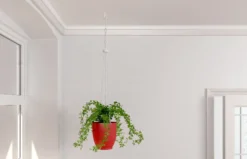 Vinkelkrok Easyhook Duopower 6X30-Fischer Online